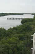 Fishing Pier from Observation Tower