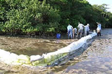 Volunteers moving the canoe