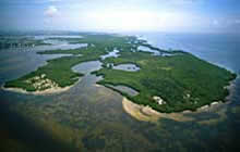Weedon Island Preserve