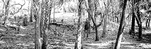 Dr. Weeon looking at a mound site.