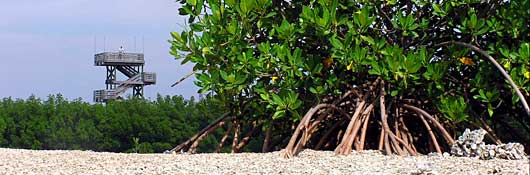 Guided Hikes Common Questions