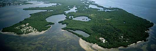 Prehistoric Canoe found at Weedon Island Preserve