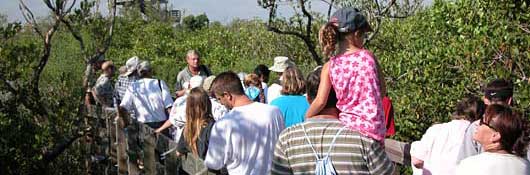 Volunteer Opportunities